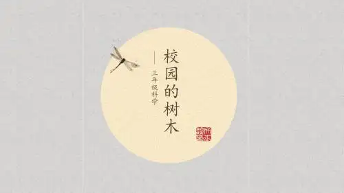 小学三年级科学校园的树木