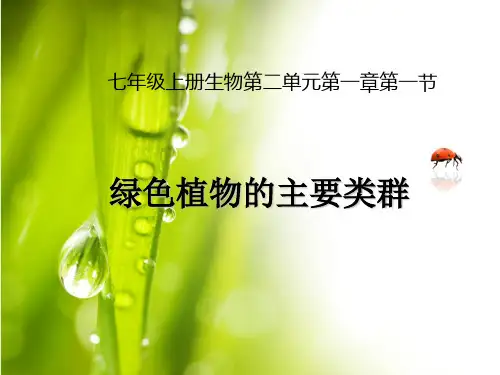 绿色植物的主要类群PPT课件13 济南版