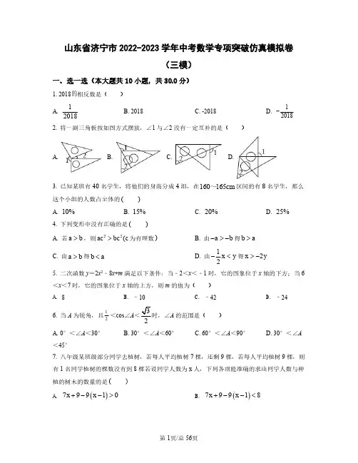 山东省济宁市2022——2023学年中考数学专项突破仿真模拟卷(三模四模)含答案