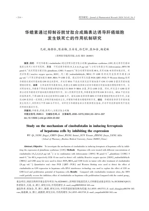 华蟾素通过抑制谷胱甘肽合成酶表达诱导肝癌细胞发生铁死亡的作用机制研究