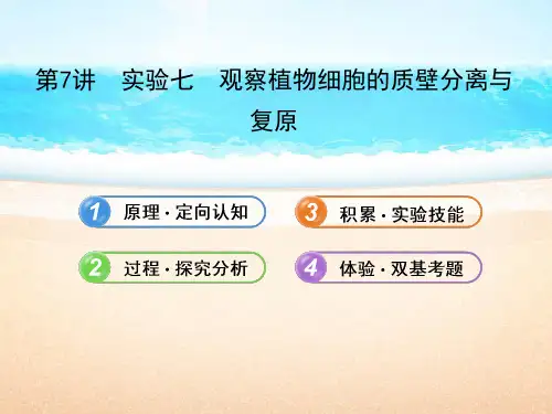 第7讲试验七观察植物细胞的质壁分离与复原1质壁分离外因