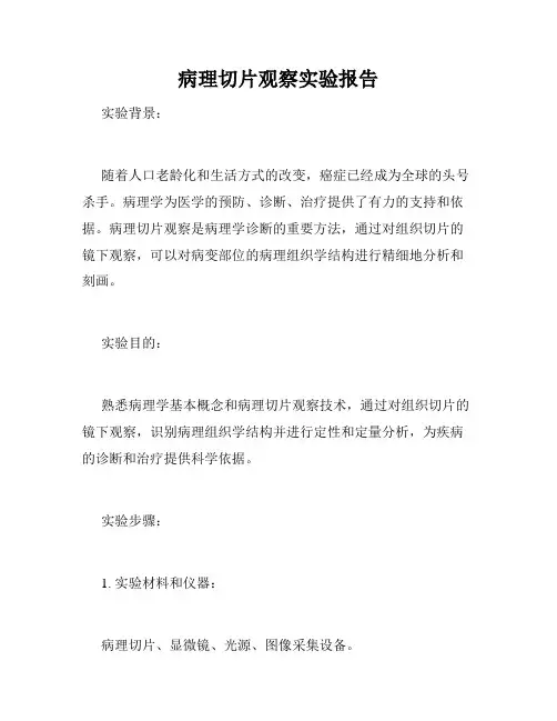 病理切片观察实验报告