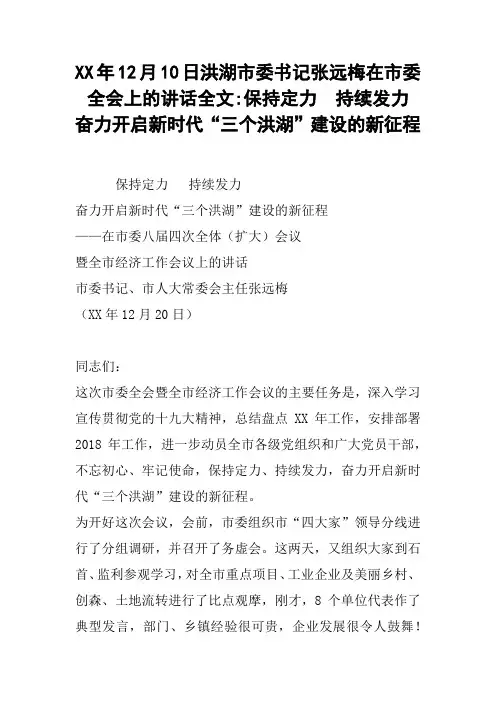 XX年12月10日洪湖市委书记张远梅在市委全会上的讲话全文-保持定力  持续发力 奋力开启新时代“三个洪湖”建