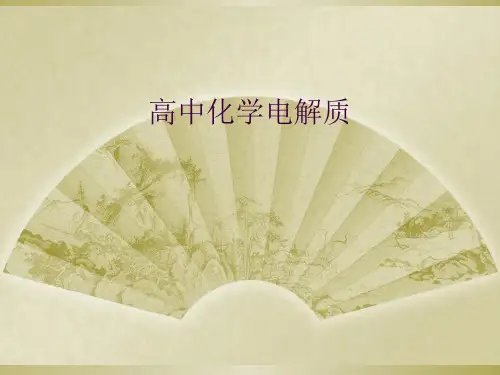 高中化学电解质