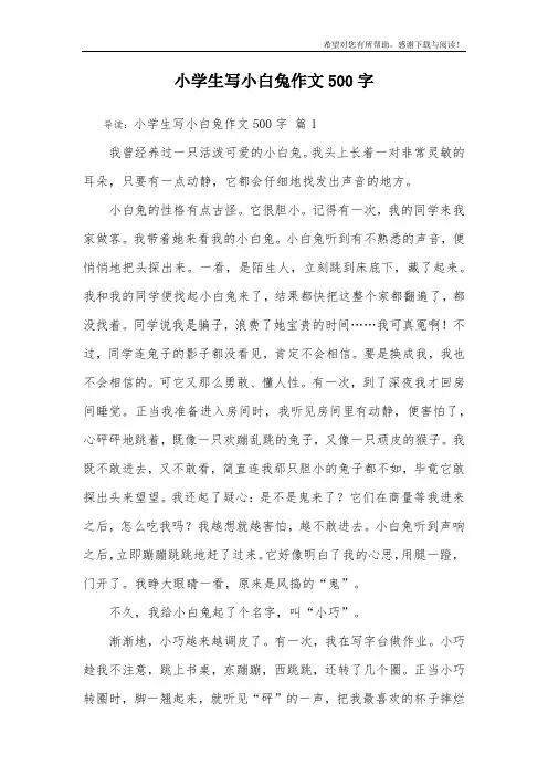 小学生写小白兔作文500字_14