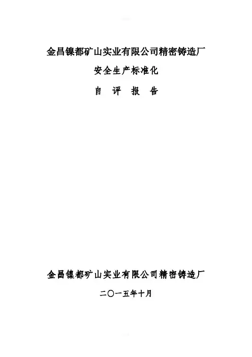 金昌镍都矿山实业有限公司精密铸造厂2015年安全标准化-金川集团