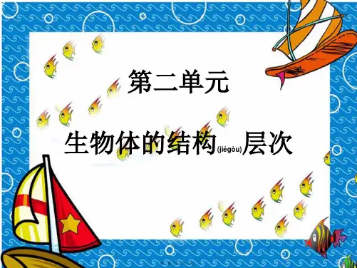 七年级生物上册 2.2.1练习使用显微镜