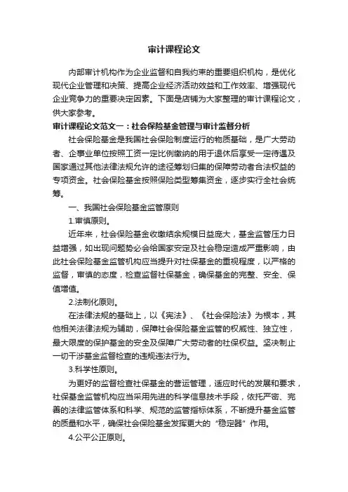 审计课程论文