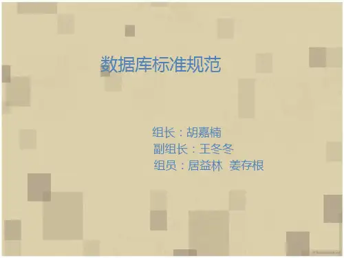 数据库标准规范