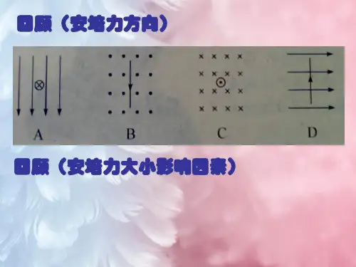 洛伦兹力初探PPT教学课件