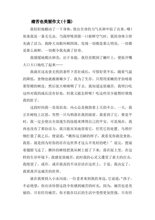 痛苦也美丽作文(十篇)精选
