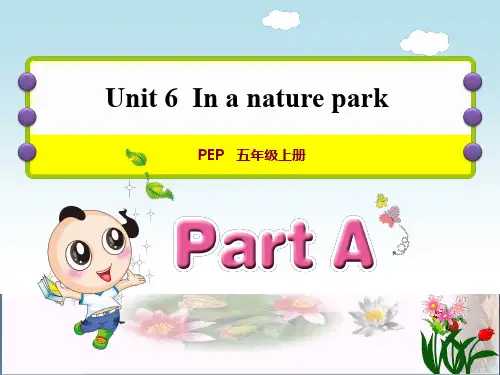 最新五年级英语上册 Unit 6 In a nature park PA Let’s talk 人教pep优选教学课件