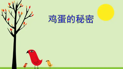 小学科学(教科版)《动物的卵》精品系列1
