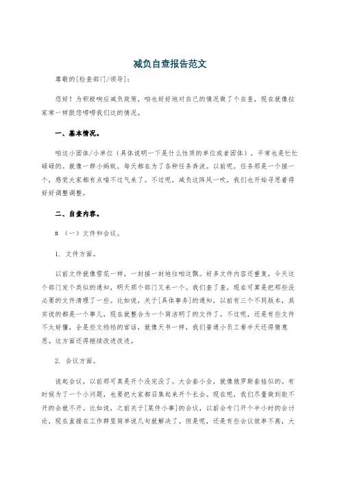 减负自查报告范文