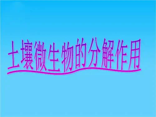 【创新设计】2015高考生物(江苏专用)配套学科特色内容展示课件 3-9教材实验(十六)土壤微生物的分解作用