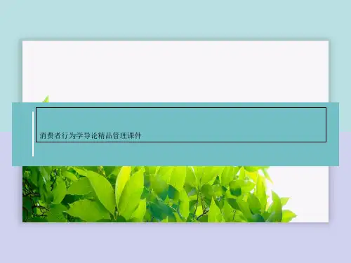 消费者行为学导论精品管理课件