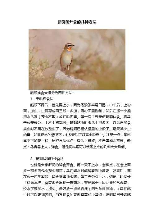 新靛颏开食的几种方法