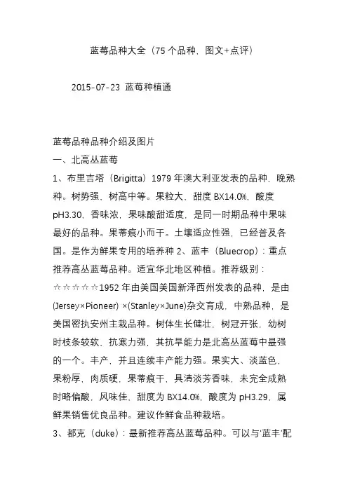蓝莓品种大全(75个品种,图文 点评)