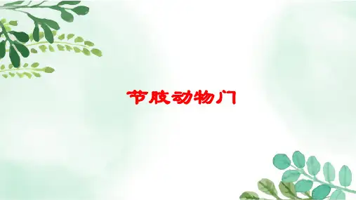 高中生物节肢(肢口纲、甲壳纲)PPT课件