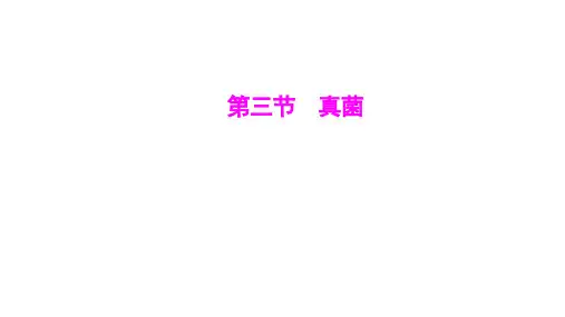第二单元第三章第三节真菌-2024-2025学年初中生物七年级上册(人教版)配套课件