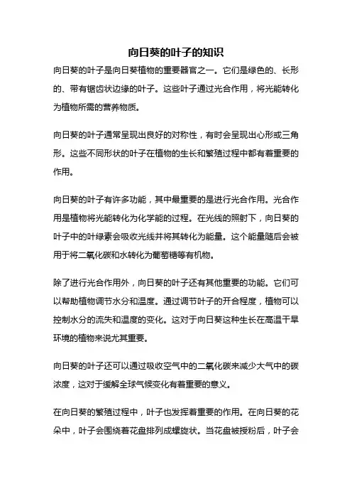 向日葵的叶子的知识