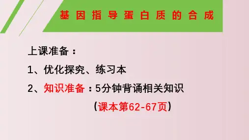 2023届高三生物一轮复习课件基因指导蛋白质的合成