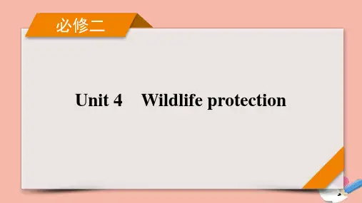 高考英语一轮总复习必修2Unit4Wildlifeprotection课件新人教版