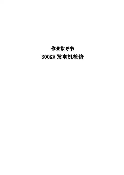 300KW发电机检修作业指导书