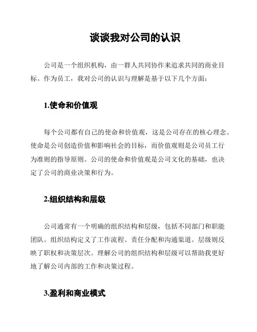 谈谈我对公司的认识