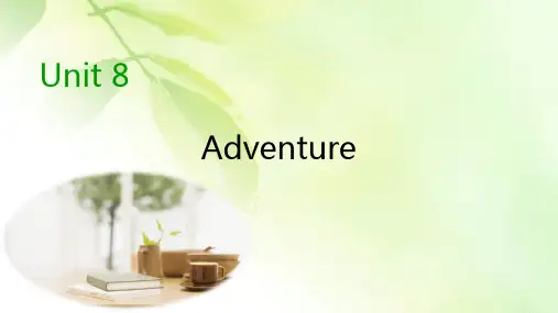 2019-2020学年北师大版高中英语必修三同步课件：Unit 8 Adventure Period 4