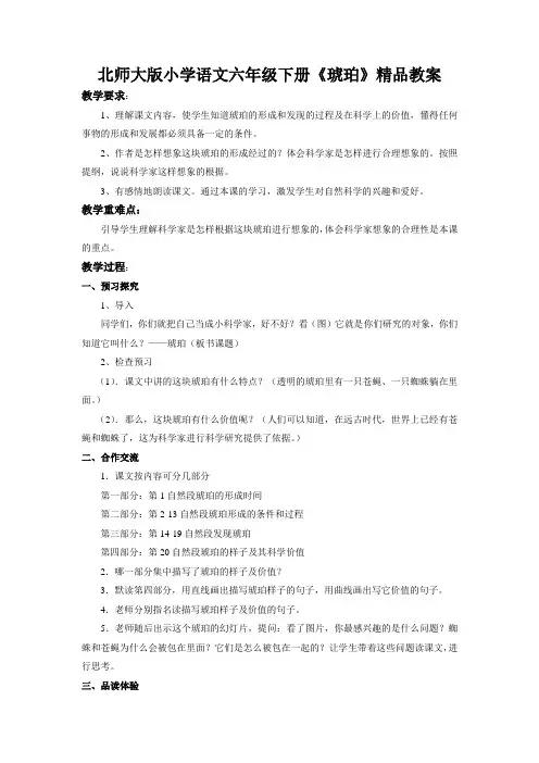 北师大版小学语文六年级下册《琥珀》精品教案