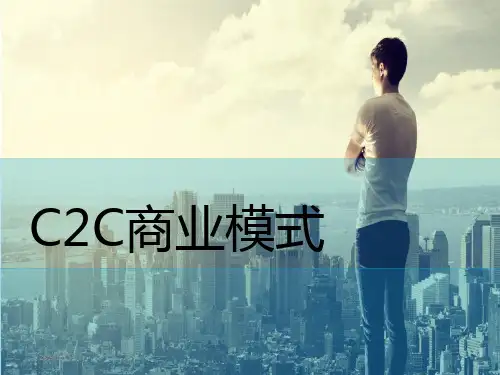 商业模式分析PPT课件