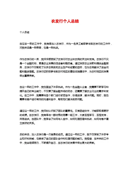 农发行个人总结