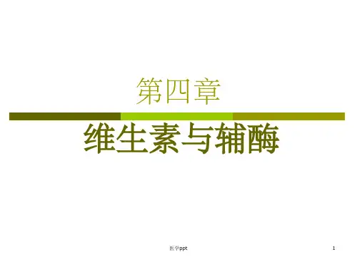 生物化学--维生素与辅酶