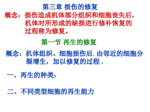 组织的修复
