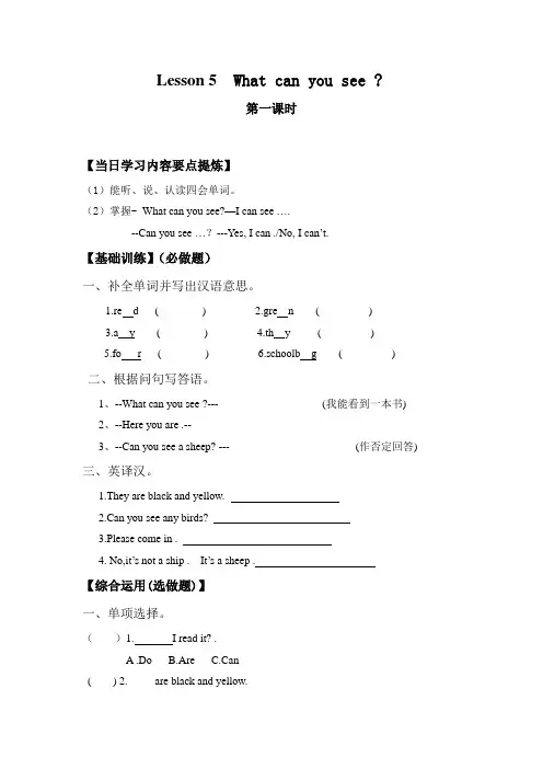 科普版四年级英语学案lesson5 What can you see