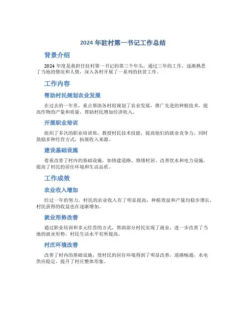 2024年驻村第一书记工作总结