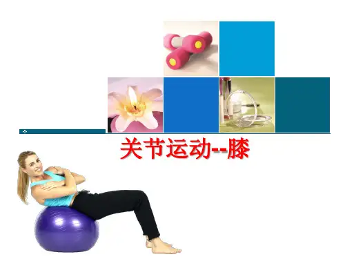 5.2关节运动-膝区-运动学基础精品课件