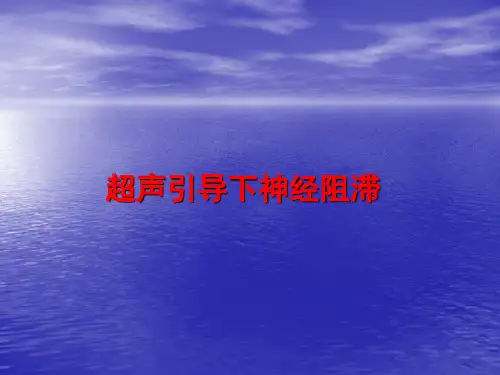 超声引导下神经阻滞PPT课件
