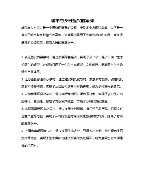 城市与乡村振兴的案例