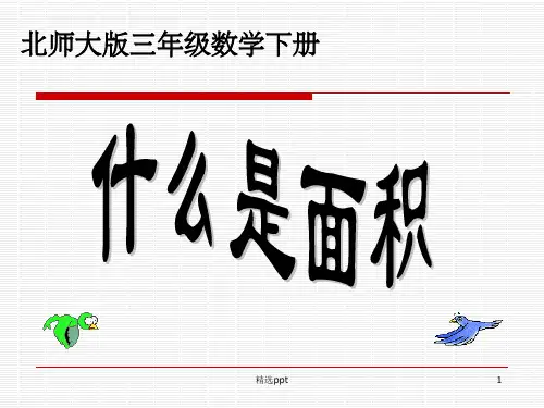 面积的初步认识___完整1PPT课件