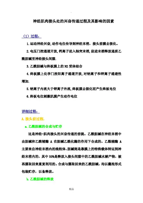 神经肌肉接头处的兴奋传递过程及其影响因素