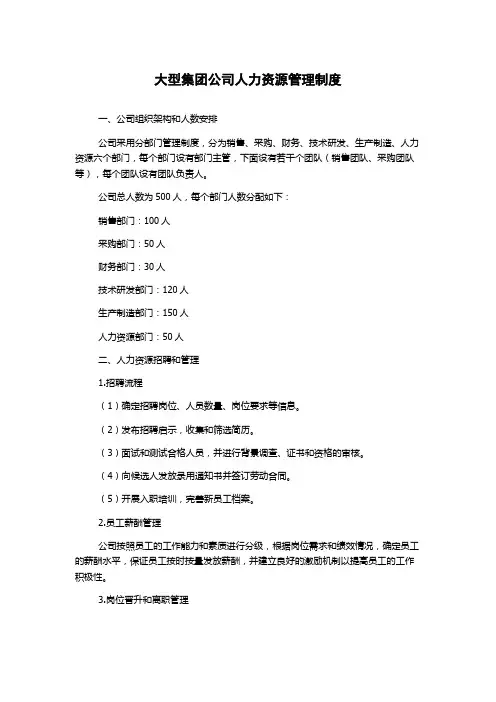 大型集团公司人力资源管理制度