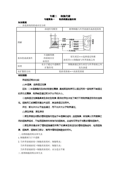 物质跨膜运输实例