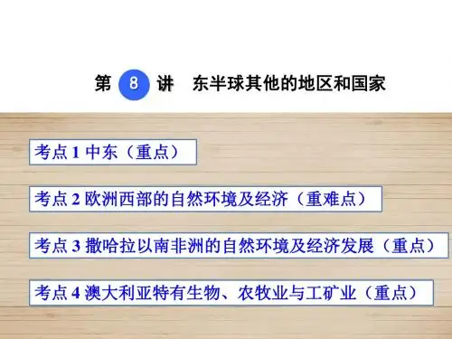 地理中考复习之第8讲  东半球其他的地区和国家PPT课件