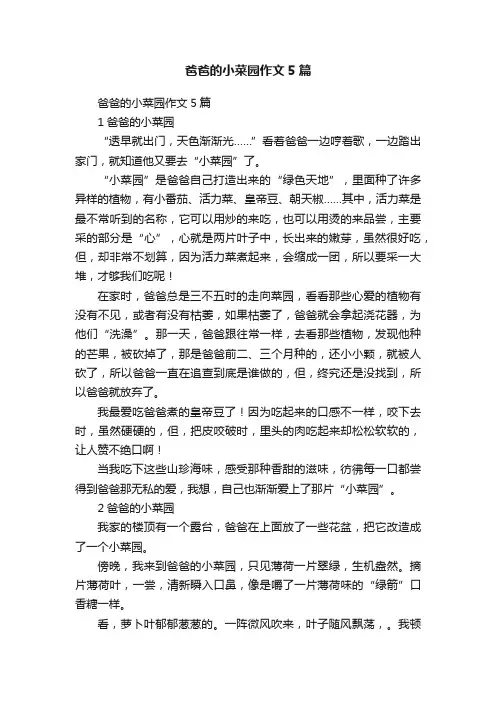 爸爸的小菜园作文5篇