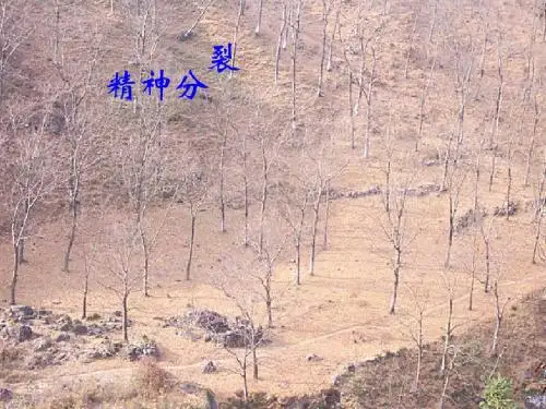 第13章-精神卫生流行病学