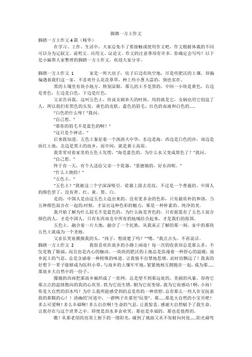 脚踏一方土作文