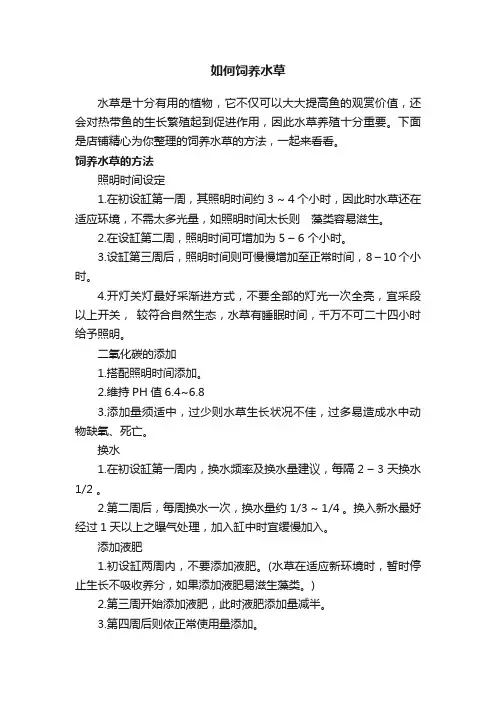 如何饲养水草