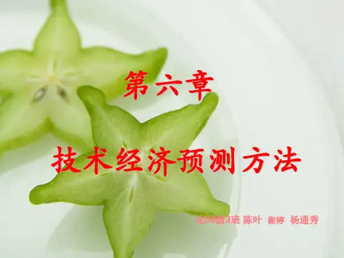 化工技术经济 ppt课件